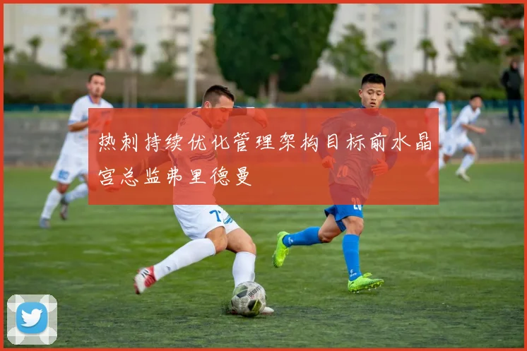 热刺持续优化管理架构目标前水晶宫总监弗里德曼
