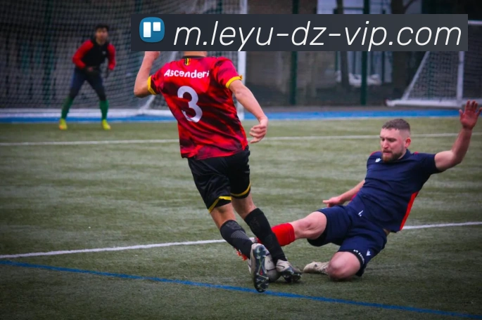 乐鱼体育服务体系